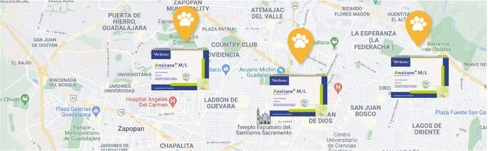 Encuentra el producto en la clínica veterinaria más cercana